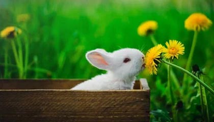 kaiyun体育app-瓦尔迪内带回冬季出战意愿，桑普多利亚中场追逐奔球，瓦尔迪进球集锦