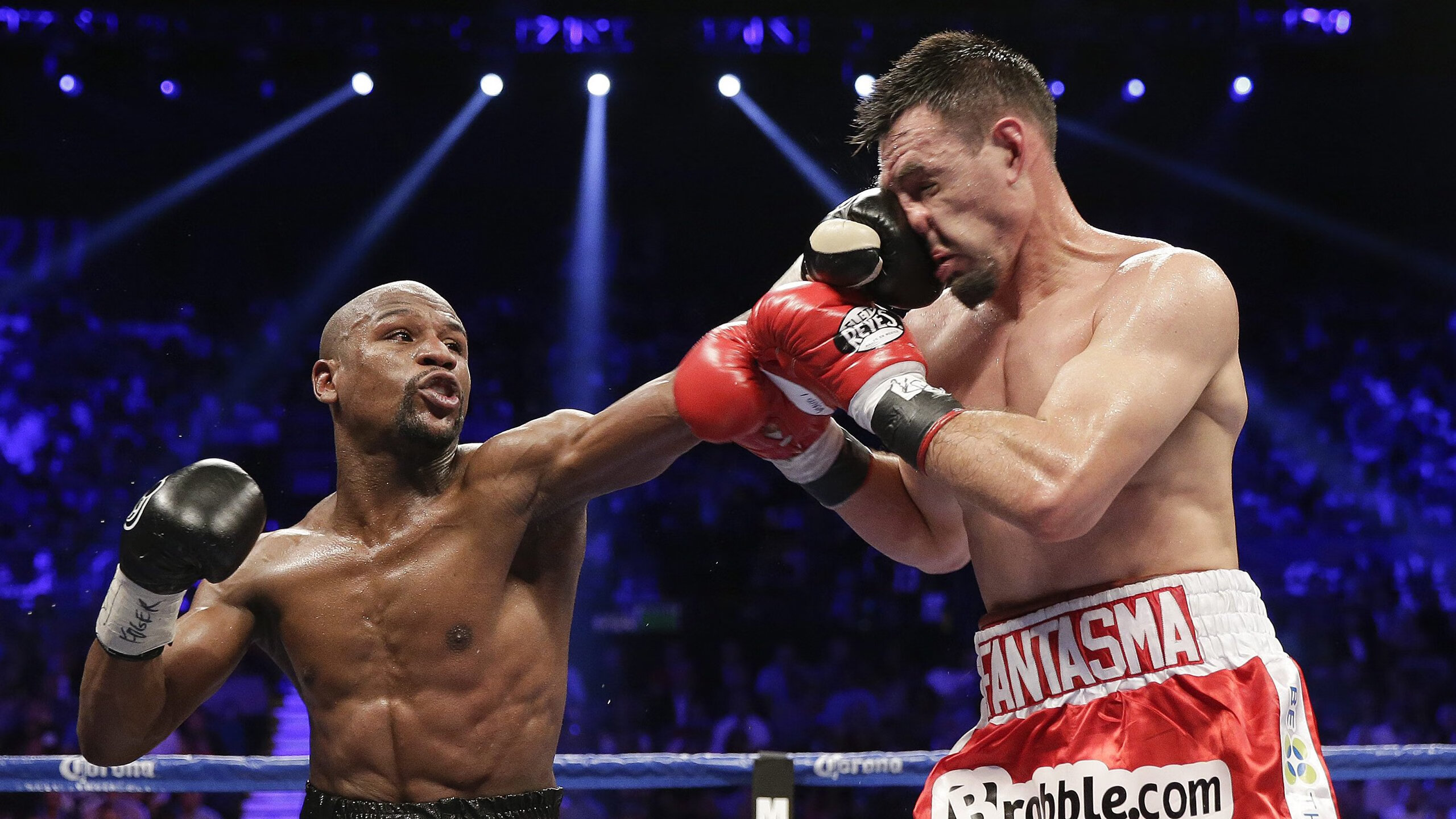 从零到冠军：新星如何书写逆袭传奇