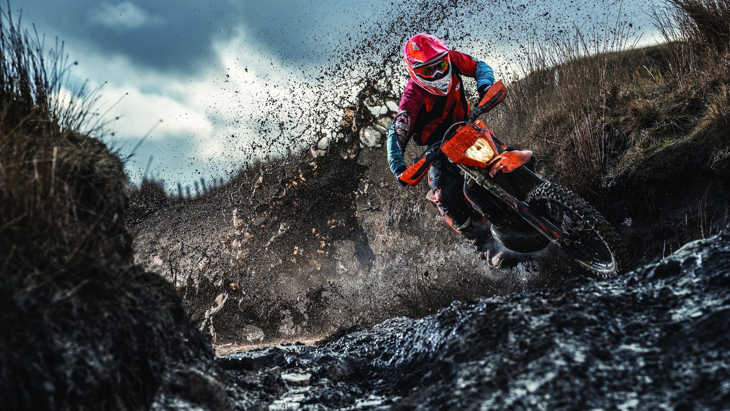 加拿大队未来之路：如何通过优化团队阵容与战术布局实现更好成绩